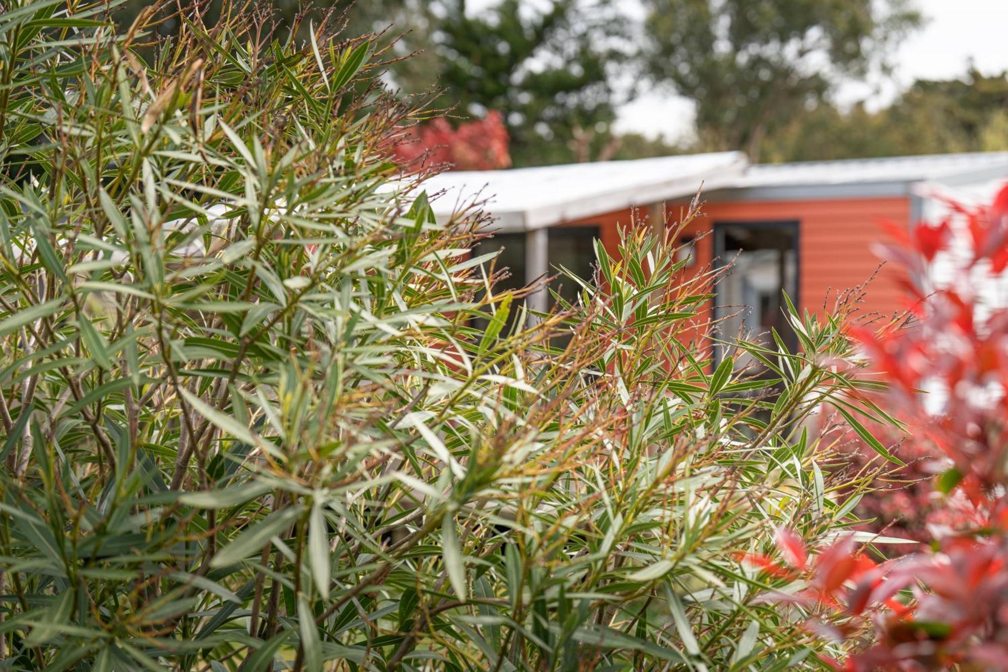 Camping Antioche D'Oléron La Brée-les-Bains Esterno foto